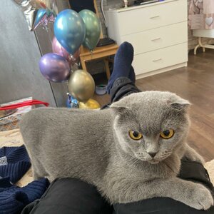 damirvaleev92