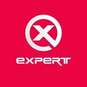 Expert