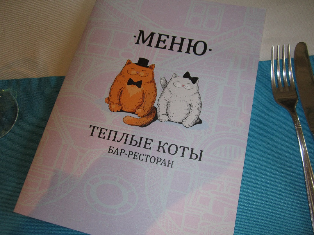 теплые коты караоке. теплые коты караоке. теплые коты караоке. кот вокалист. котик поет.