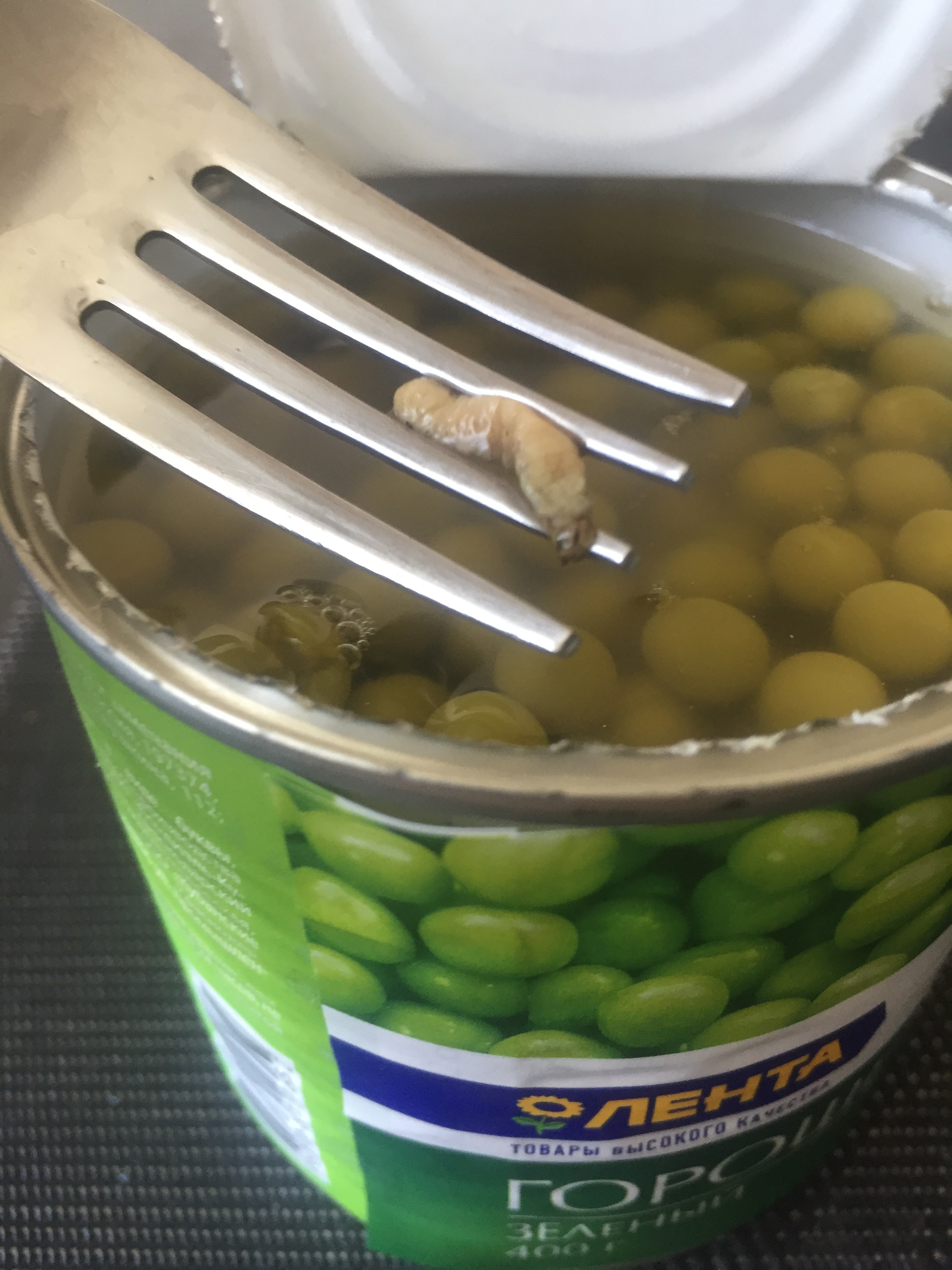Банка открытого гороха. Как открыть горошек. Как открыть горошек. Семена для посадки. Открывалка для консервов с830.