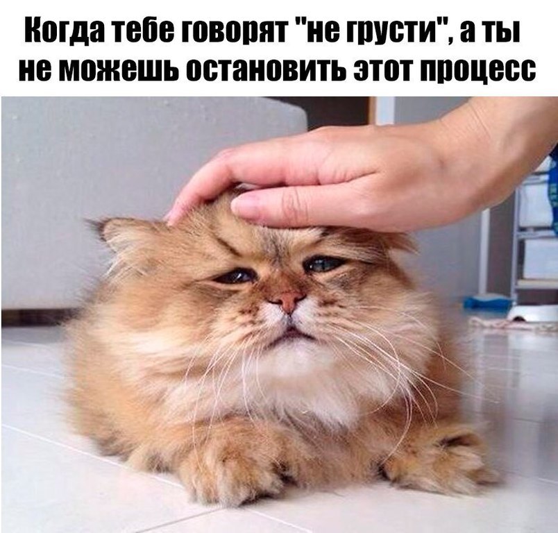 Продолжайте мне нравится. Похвалили на работе Мем.