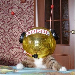 Вячеслав Сухов