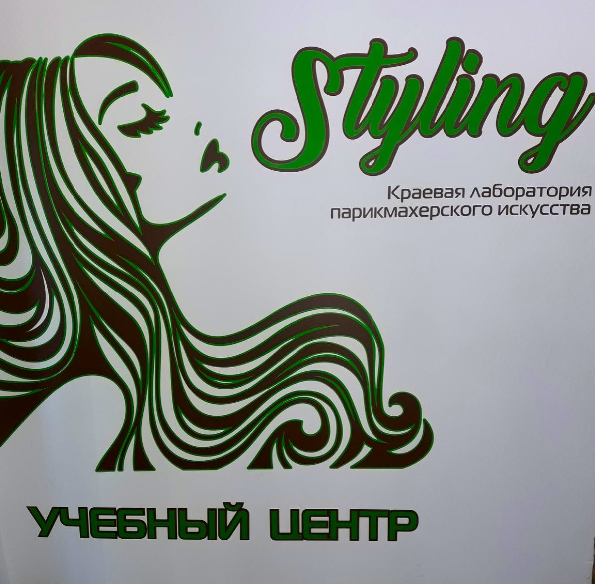 Styling, краевая лаборатория парикмахерского искусства, учебный центр в  Барнауле на Северо-Западная 2-я, 61 — отзывы, адрес, телефон, фото — Фламп