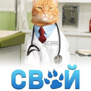 Свой доктор