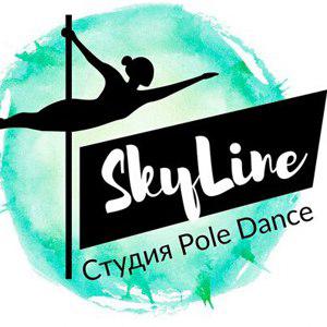 Studio Pole Dance Skyline