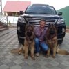 Евгений Савенков