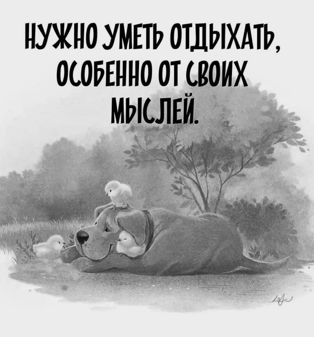 Картинки С Добрым Смыслом