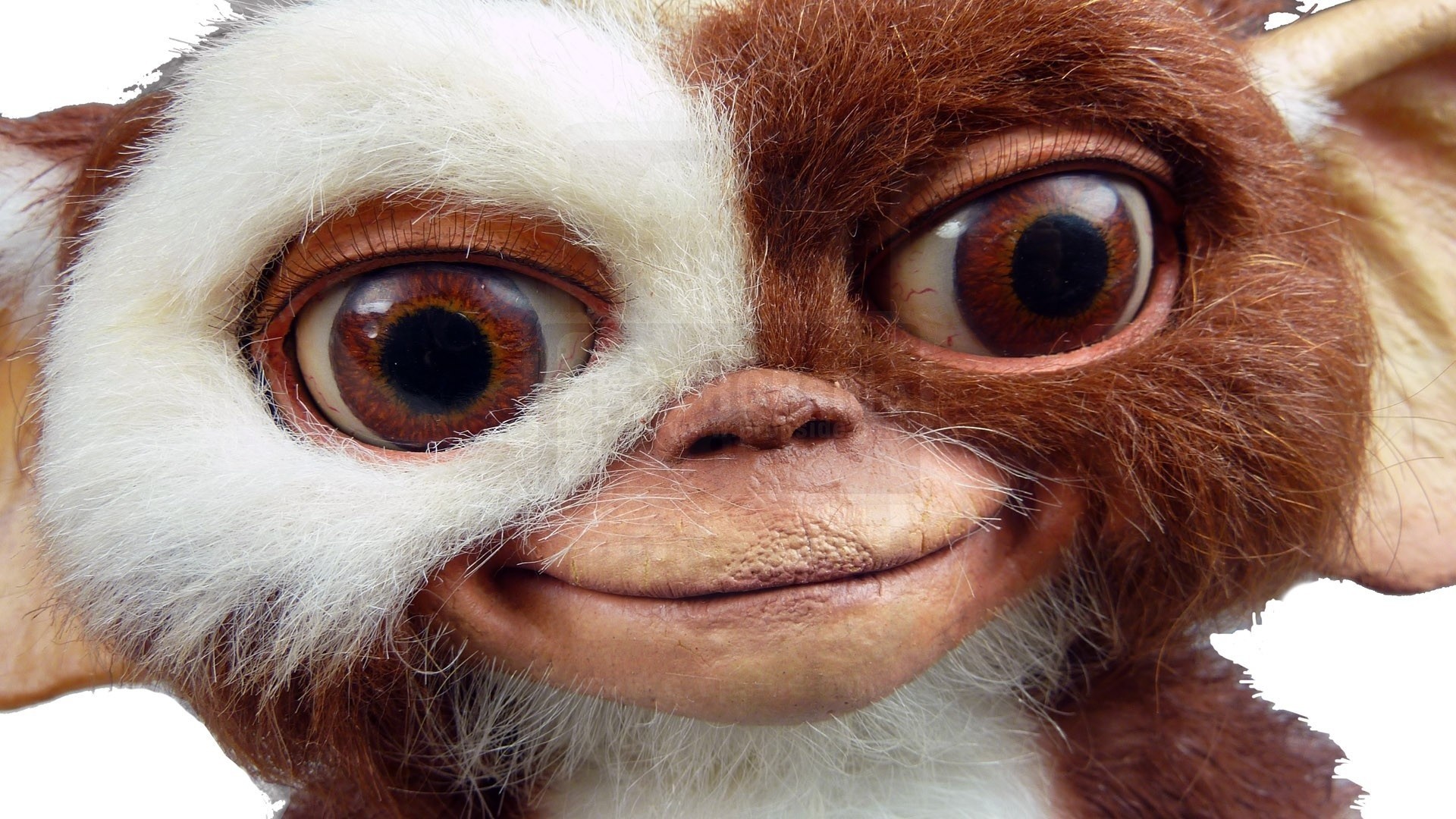 Pin on Gremlins disfraz Cute cartoon wallpapers, Fantasy art dolls, Cute creatur