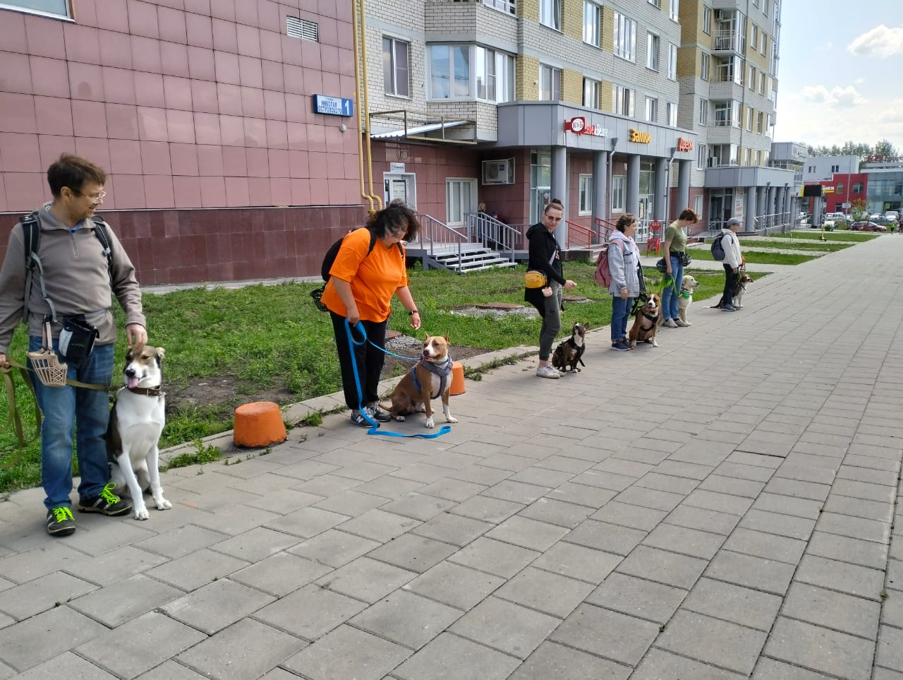 Dog club, зооцентр, ЖК Форест, улица Амундсена, 118, Екатеринбург — 2ГИС