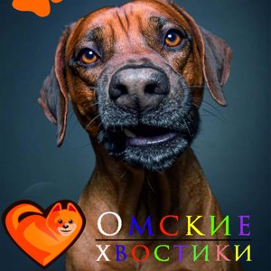 Омские хвостики
