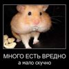 Ирина Ирина