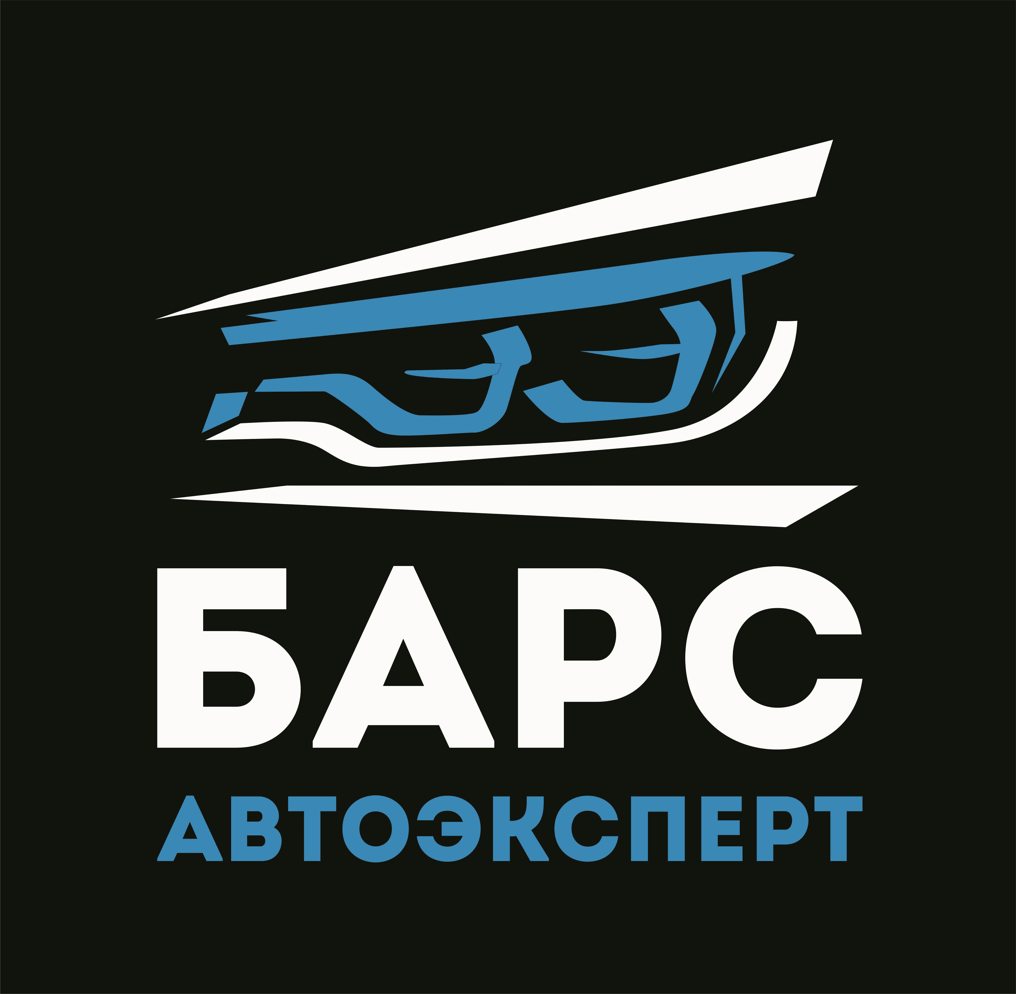 Барс омск. Автоцентр Барс автоэксперт в Омске. Автосалон Барс Омск. Барс эксперт Омск. Барс автоэксперт на кольцевой Омск.