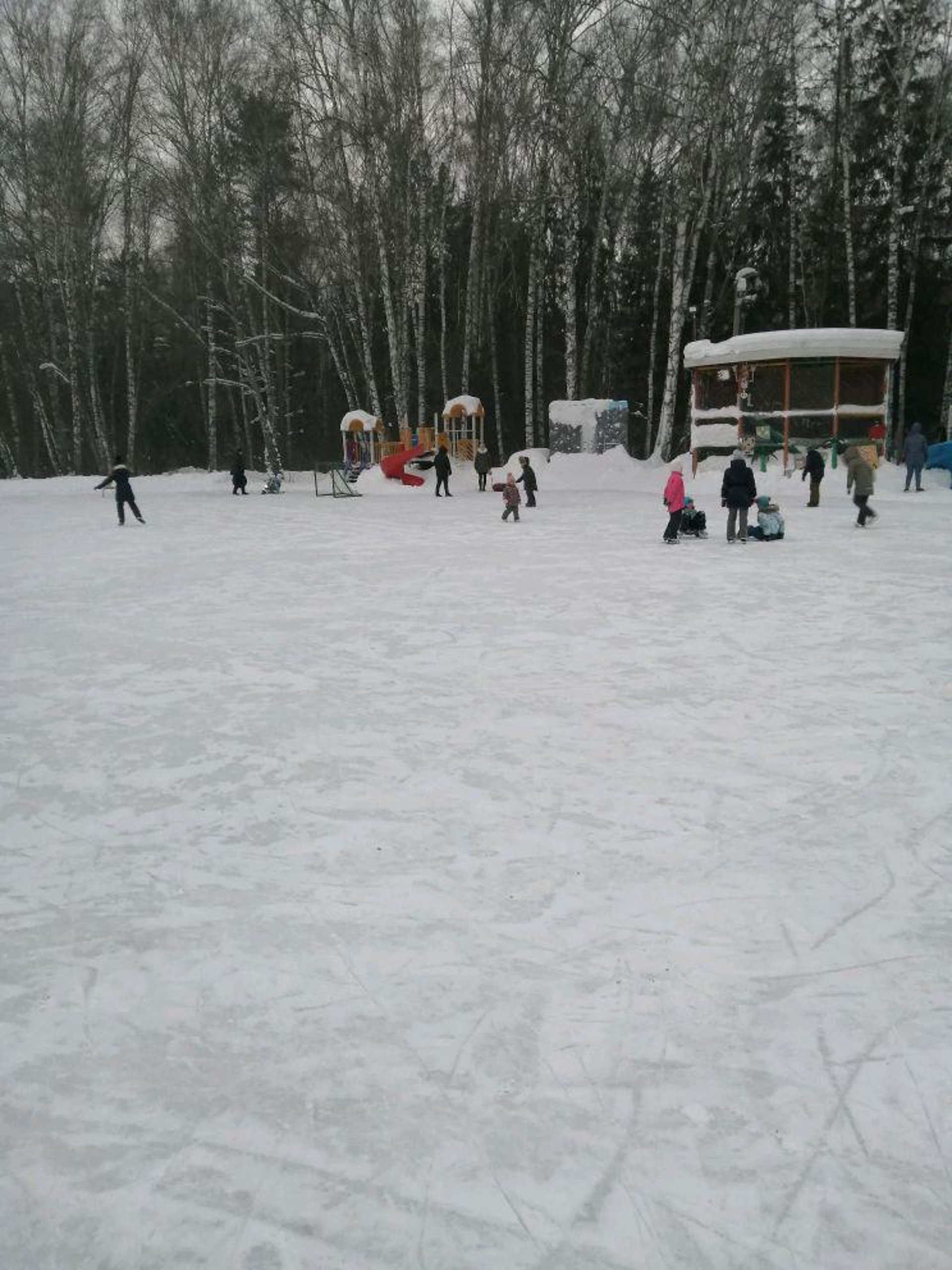 Лесная Сказка, каток-городок, Золотодолинская, 2 к1, Новосибирск — 2ГИС