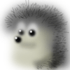 brooder