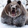 Артем