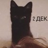 Redaktor Kvis