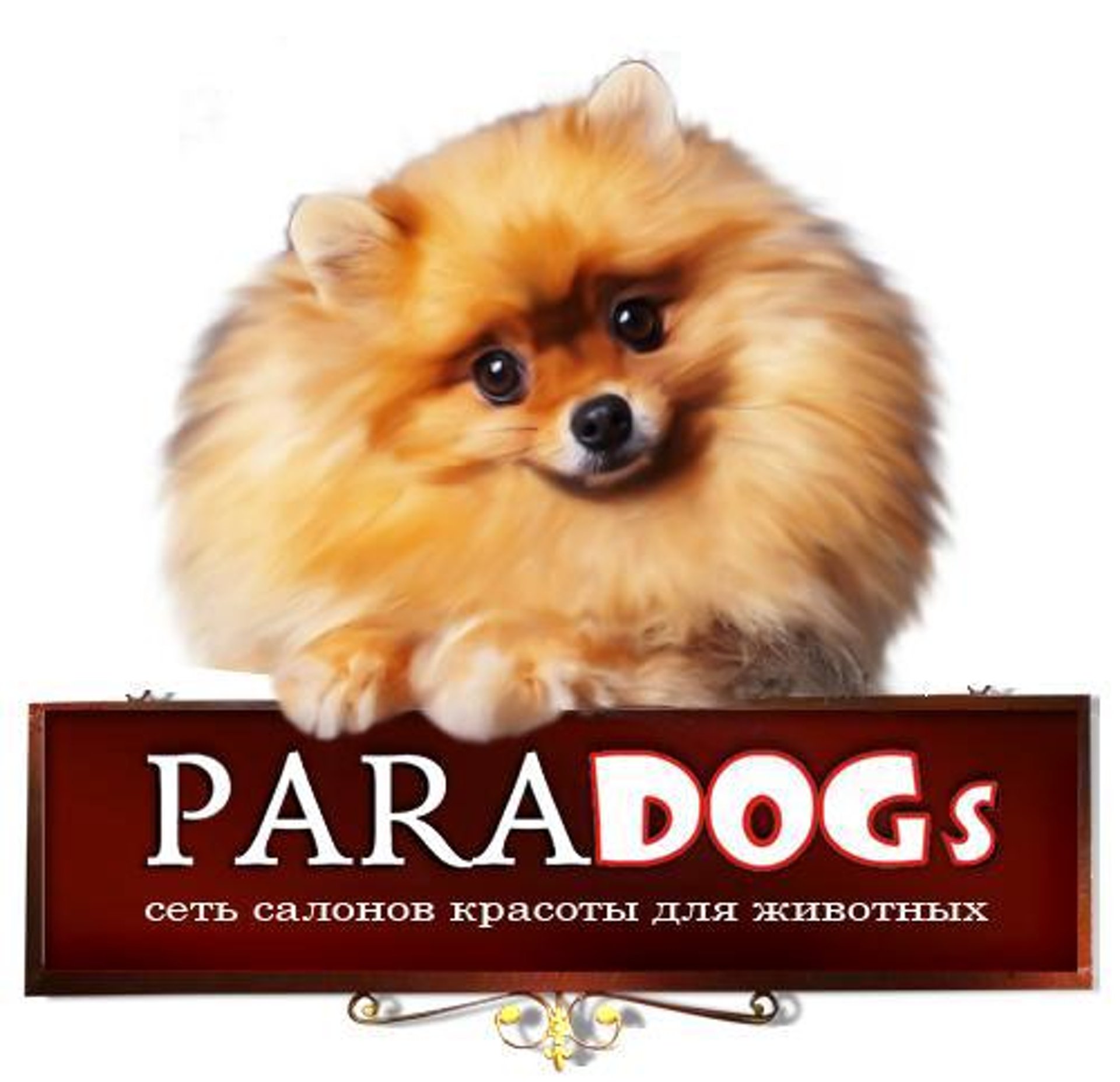 PARADOGs, сеть зоосалонов, Чапаева, 14/7, Екатеринбург — 2ГИС