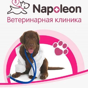 Napoleon