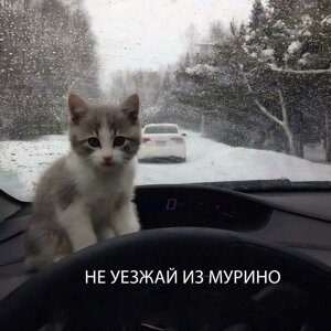 max678