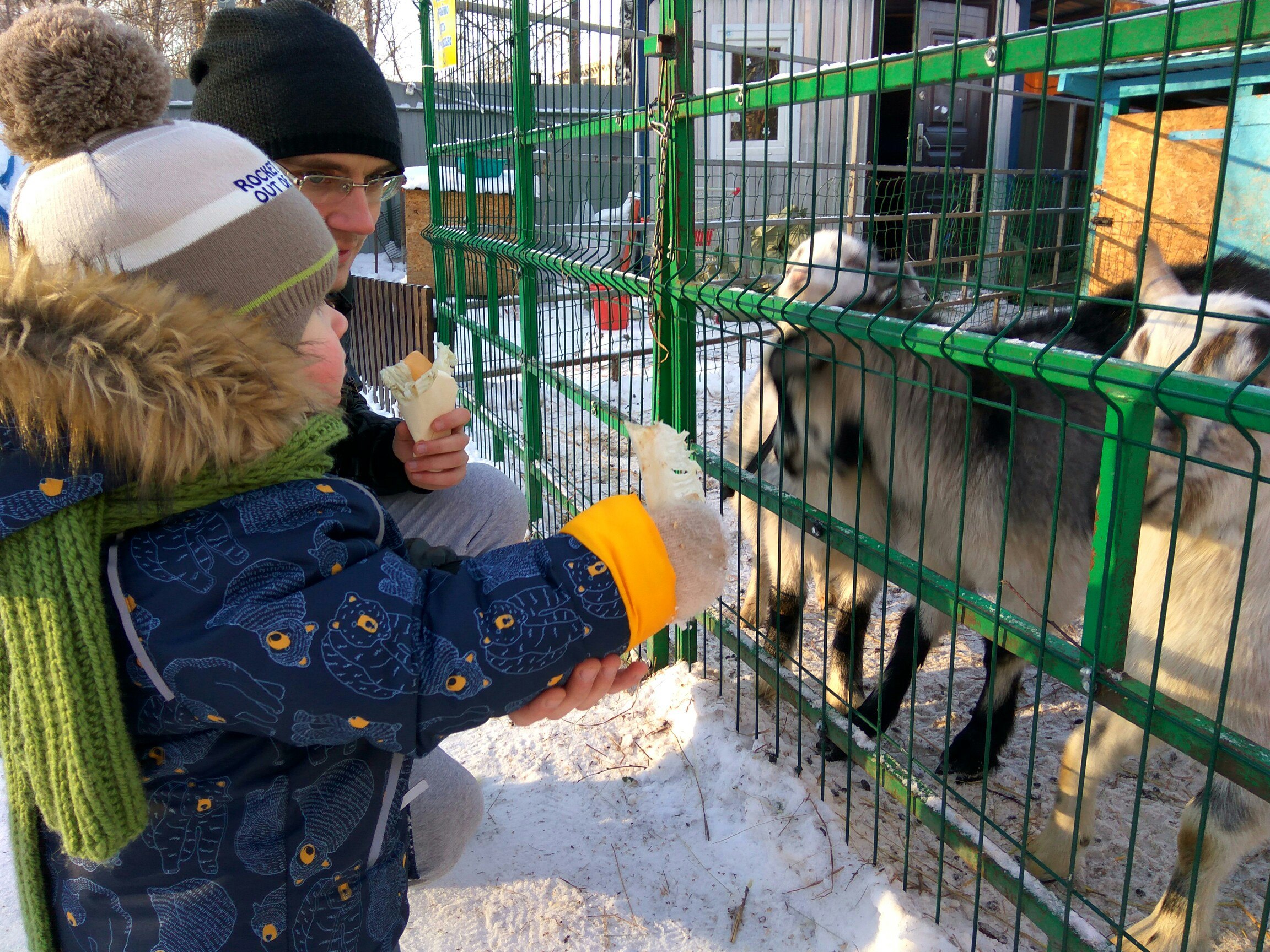 Фермы новосибирск. Пони ферма серебряная подкова. Серебряная подкова Новосибирск. Пони-клуб серебряная подкова, Новосибирск. Контактный зоопарк серебряная подкова.