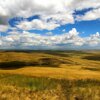 Алёна Федункова