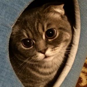 Kat0193