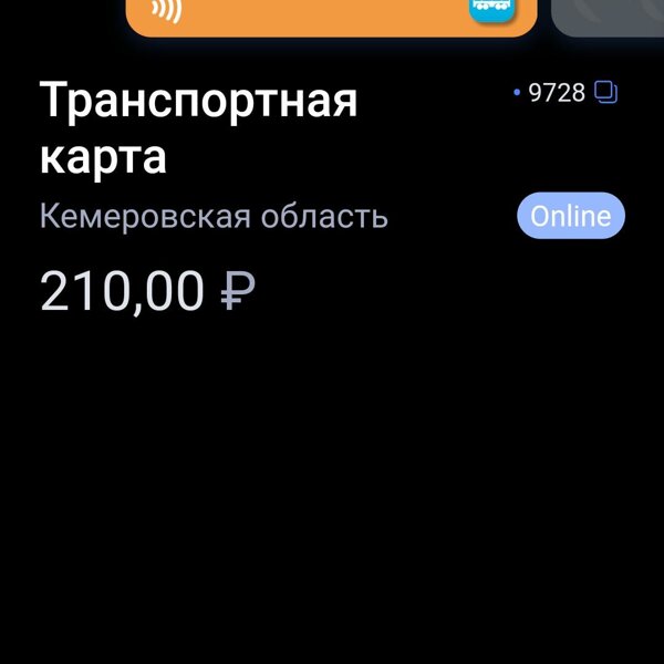 Новокузнецк транспортная карта в стоп листе