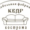 Кедр-Кострома