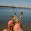 Николай Свистунов