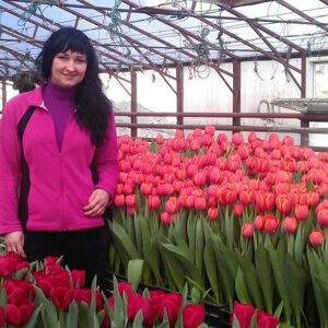 Василина Отмашина