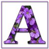 Анет@