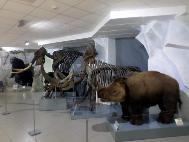 Краеведческий музей внутри новосибирск