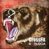CrossFit Berloga
