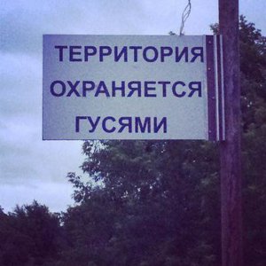 Саша Иванов