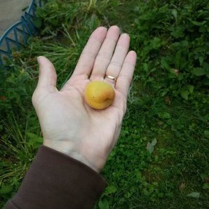 Любовь Чанцова