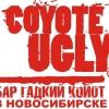 Coyote Ugly