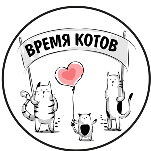 Время котов