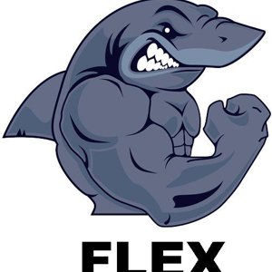 Flex