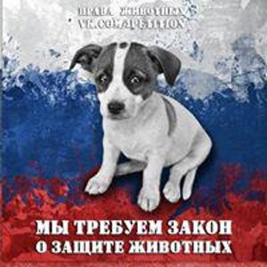 Диана Назырова