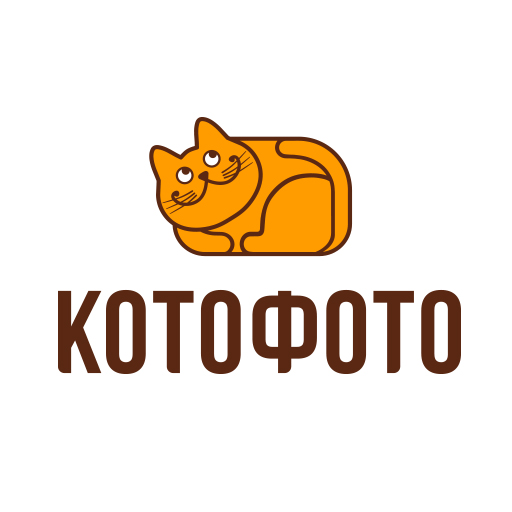 Котофото Ру Интернет Магазин Москва