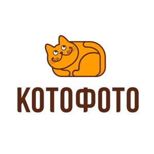 Котофото Интернет Магазин Спб Отзывы Котофото Интернет Магазин Спб Отзывы