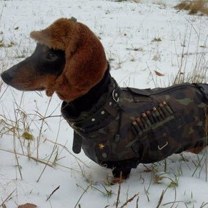 Юрий Деточкин
