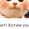 a9282809598