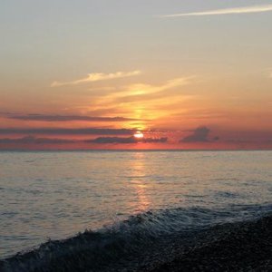 Николай Зинкин
