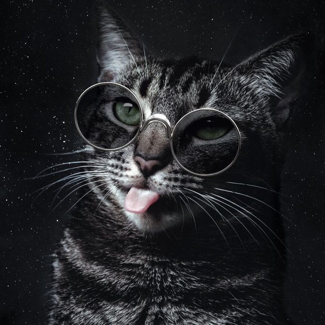 Котики на аватарку