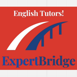 Expert bridge