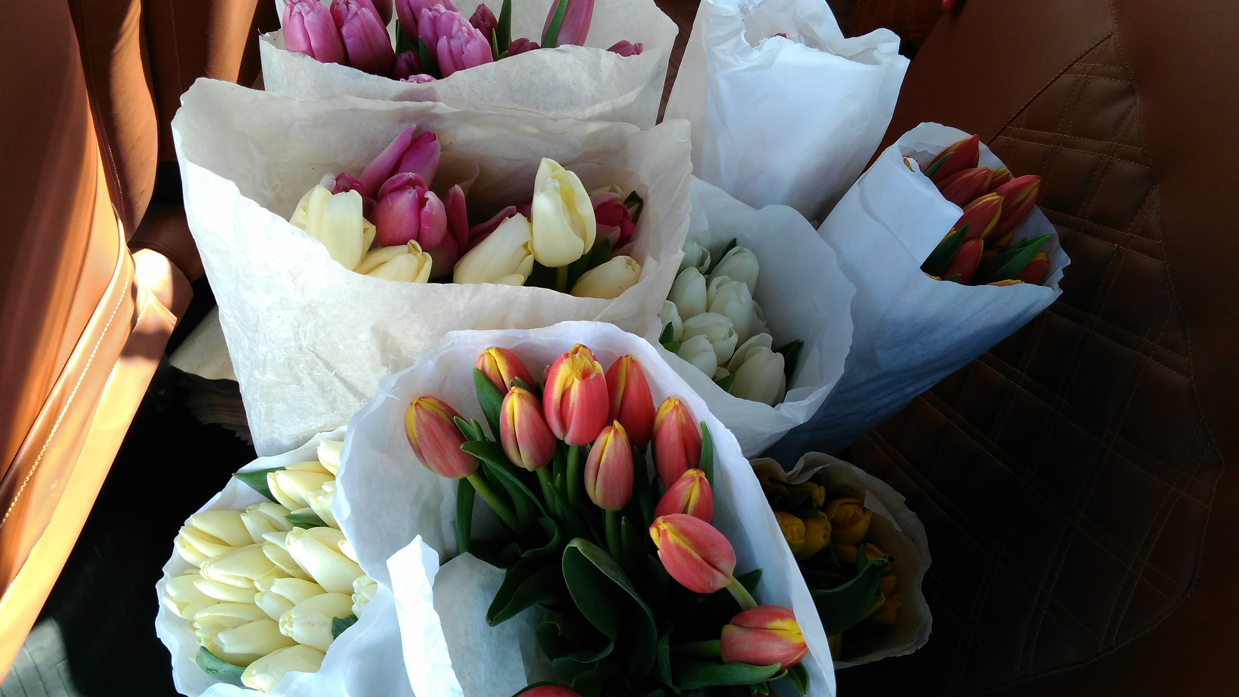 Купить тюльпаны оптом в красноярске