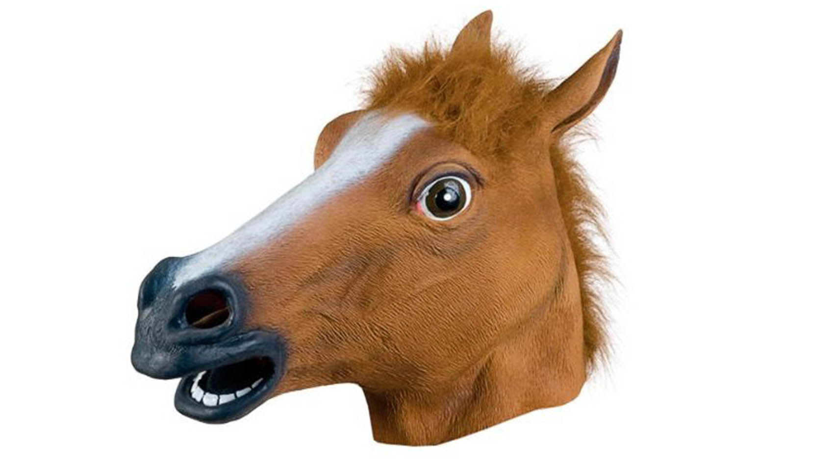 фото голова лошади в профиль