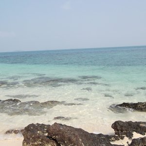 anutkanalog