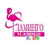 Flamingokids
